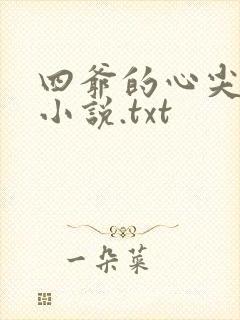 四爷的心尖宠妃小说.txt封面