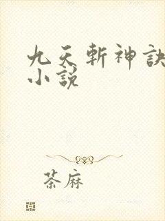 九天斩神诀网络小说