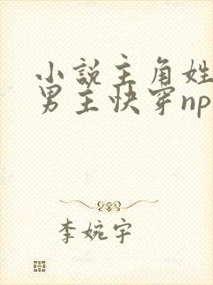 小说主角姓林双男主快穿np封面