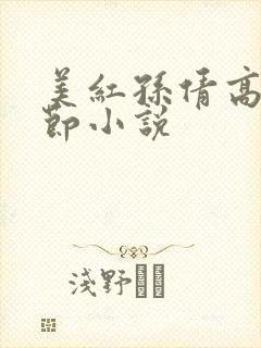 美红孙倩高义章节小说