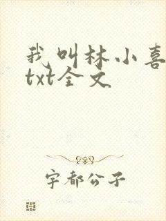 我叫林小喜乖宝txt全文