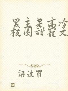 男主是高冷校草校园甜宠文封面