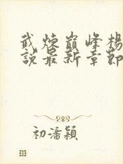 武炼巅峰杨开小说最新章节封面