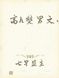 高h双男文小说