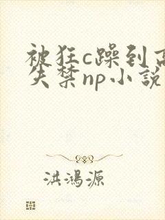 被狂c躁到高潮失禁np小说推荐