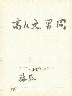 高h文男同