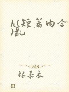 h(短篇肉合集)乱