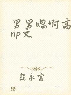男男嗯啊高h黄np文