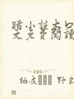 赌小说木口银全文免费阅读笔趣阁