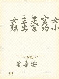 女主是宫女一心想出宫的小说