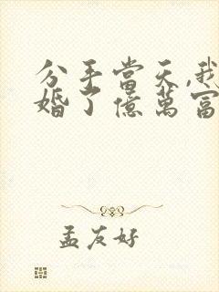 分手当天,我闪婚了亿万富豪有声小说完整封面
