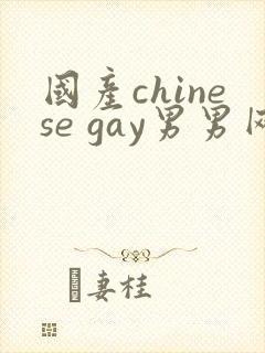 国产chinese gay男男网站