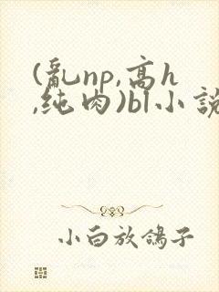 (乱np,高h,纯肉)bl小说