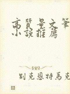高质量文笔好的小说推荐
