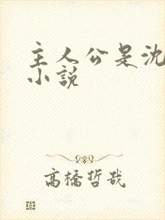 主人公是沈淮的小说封面