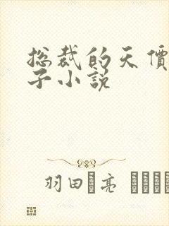 总裁的天价小妻子小说