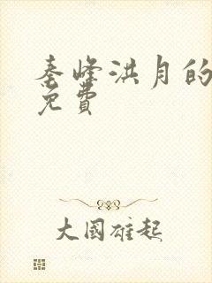 秦峰洪月的小说免费