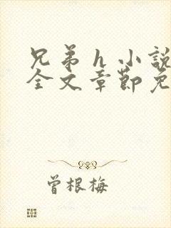 兄弟 h 小说全文章节免费阅读np