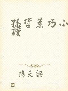 孙哲叶巧小说阅读