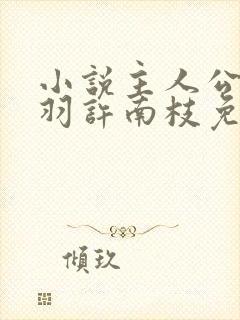 小说主人公苏乘羽许南枝免费阅读封面
