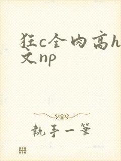 狂c全肉高h辣文np