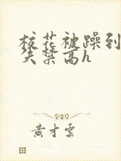 校花被躁到高潮失禁高h