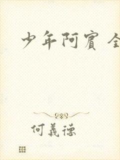 少年阿宾 全文