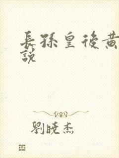 长孙皇后黄文小说封面