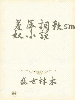 羞辱调教sm绿奴小说