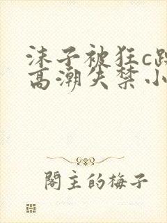 沫子被狂c躁到高潮失禁小说封面