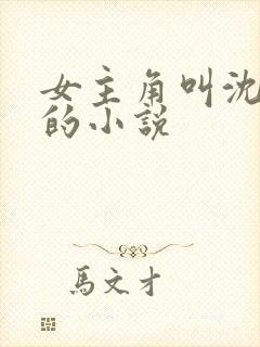 女主角叫沈清澜的小说