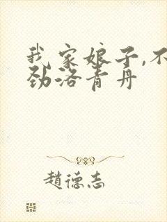 我家娘子,不对劲洛青舟封面