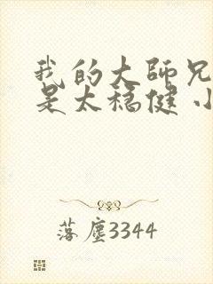 我的大师兄实在是太稳健 小说