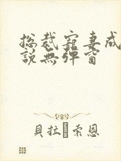总裁宠妻成瘾小说无弹窗