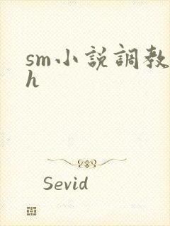 sm小说调教高h