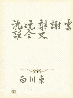 沈晚梨谢云迟小说全文