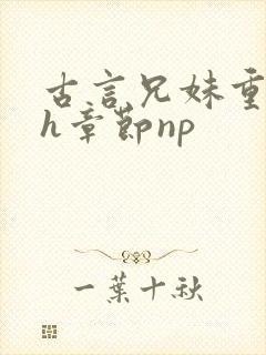 古言兄妹重口高h章节np