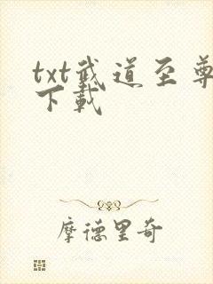 txt武道至尊下载