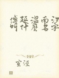 傅延温南汐小说叫什么名字封面