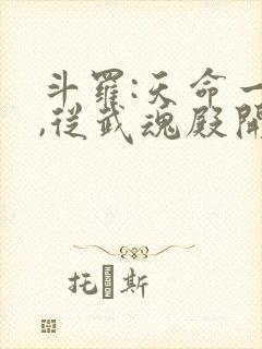 斗罗:天命一族,从武魂殿开始