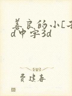 善良的小[子hd中字3d
