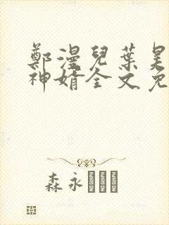 郑漫儿叶昊至尊神婿全文免费阅读