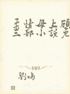 柔情母上顾为第三部小说免费阅读
