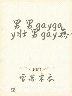 男男gaygay壮男gay无套