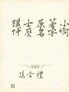 棋士原著小说叫什么名字啊