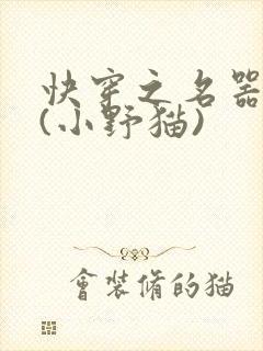 快穿之名器尤物(小野猫)
