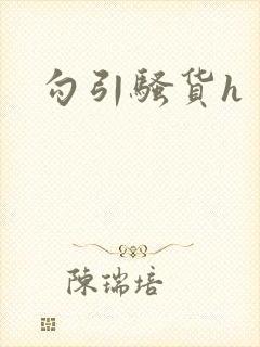 勾引骚货h封面