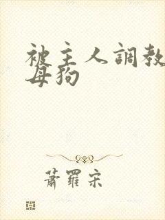 被主人调教成骚母狗