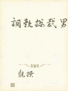 调教总裁男男