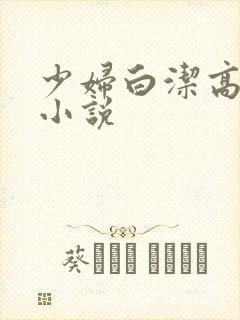 少妇白洁高义 小说